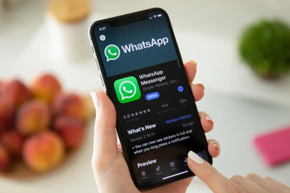 how to use whatsapp without internet